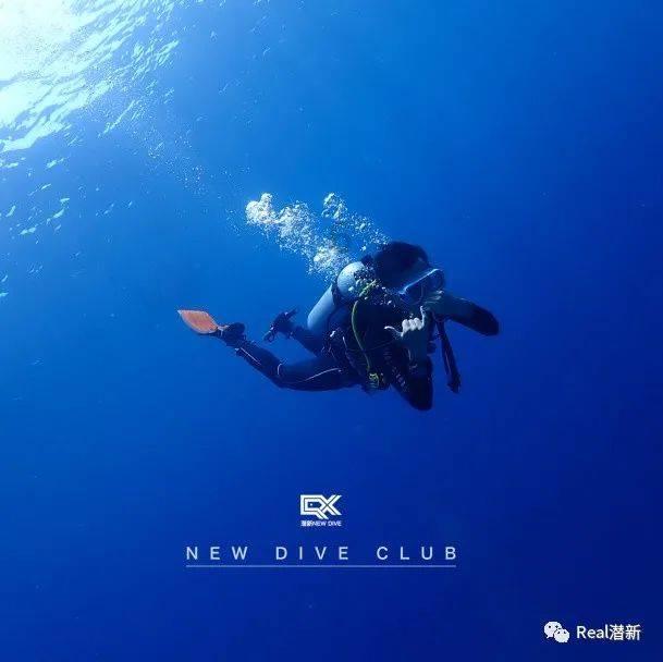 炖鸡肉的正确做法是什么？需要先焯水吗？游戏画面